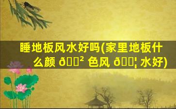 睡地板风水好吗(家里地板什么颜 🌲 色风 🐦 水好)